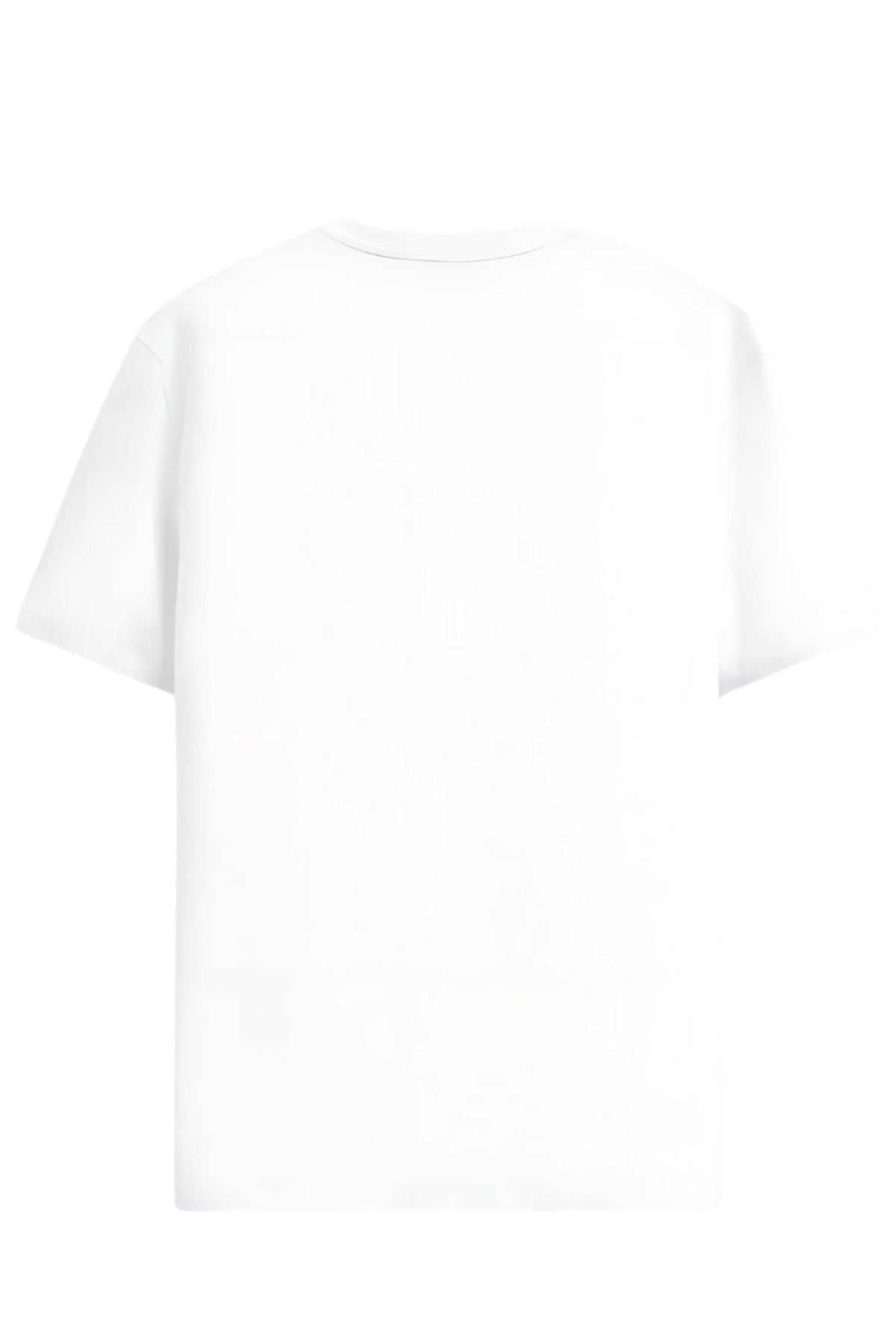 CAMISETA ZIOL GOLA EM V