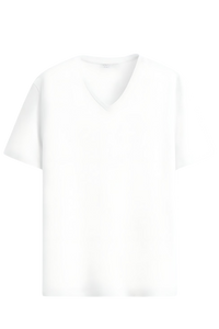 CAMISETA ZIOL GOLA EM V - ZIOL 001 - CAMISETA COM GOLA EM V Ziol